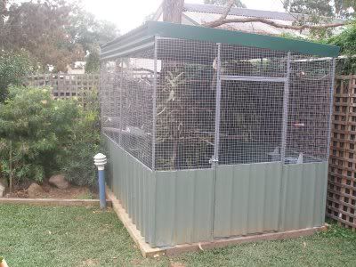 new_aviary_2.jpg