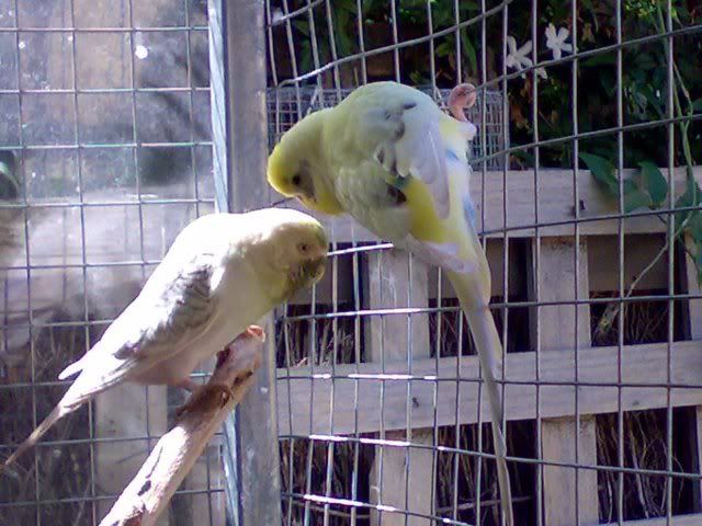 19102008113.jpg