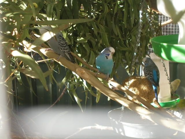 P1010002.jpg