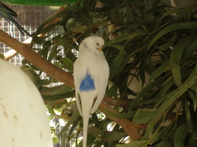P1010004.jpg