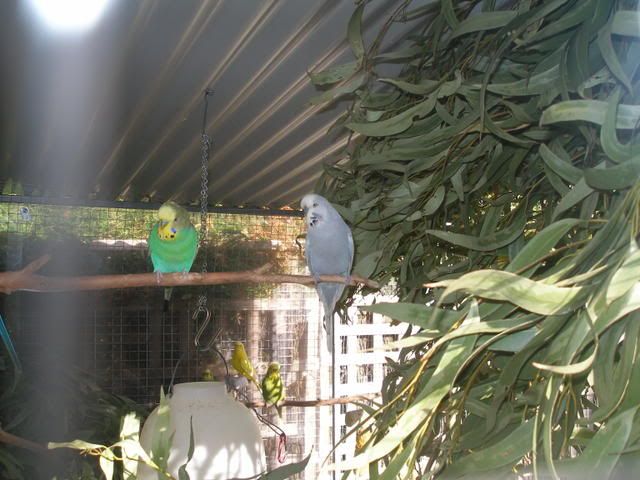 P1010009-1.jpg