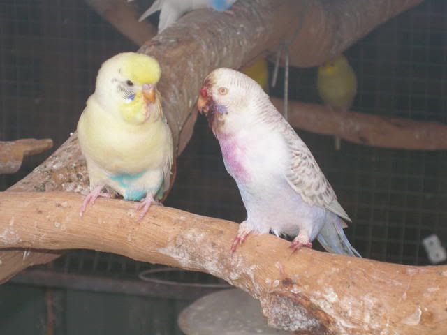 P1010013.jpg