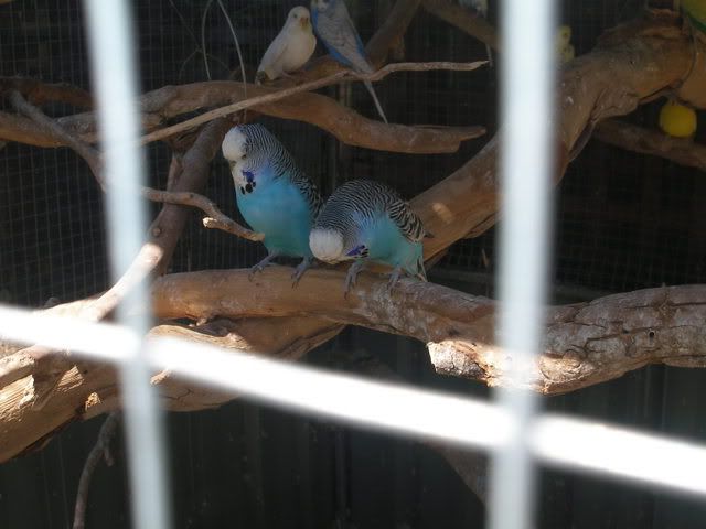P1010130.jpg