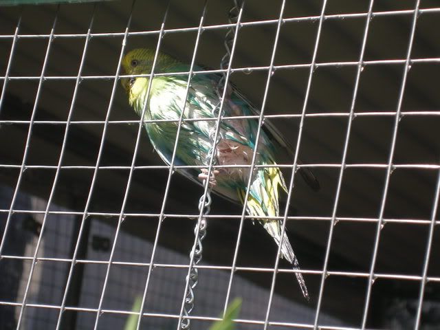 P1010139.jpg