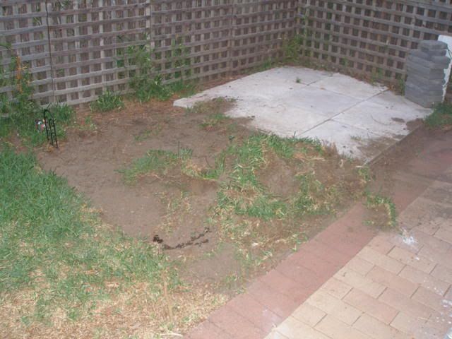 P1010004.jpg