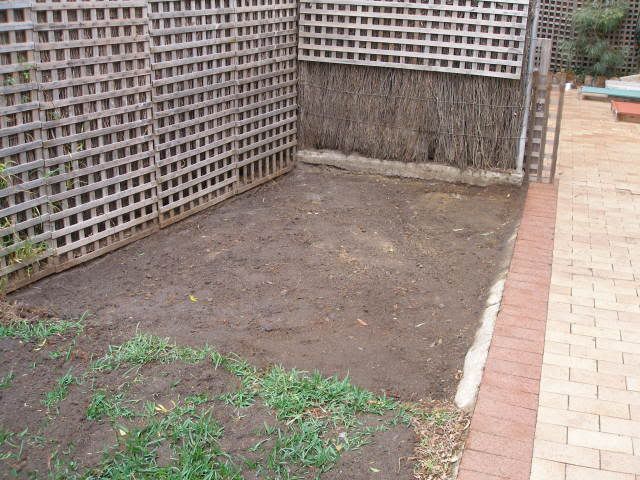 P1010020-1.jpg