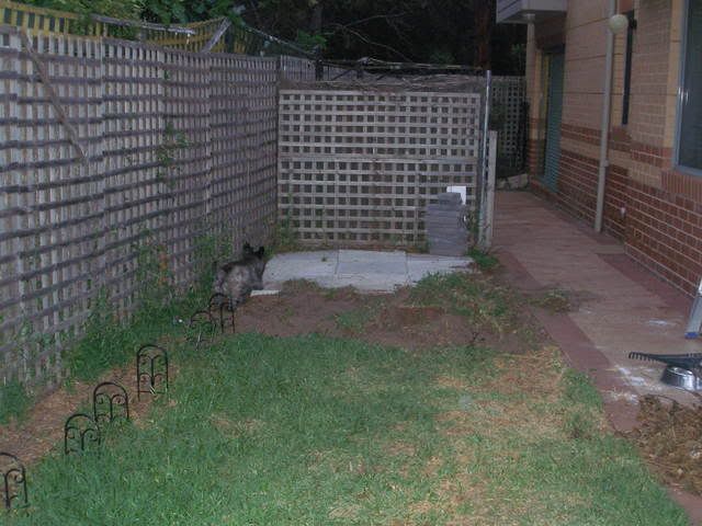 P1010020.jpg