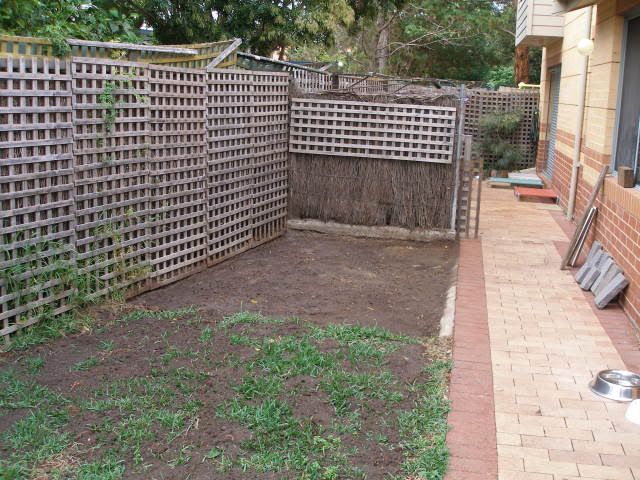 P1010021-1.jpg