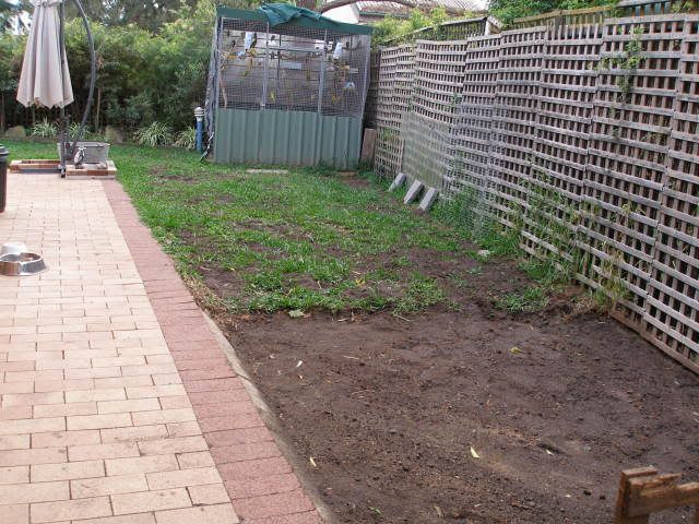 P1010022.jpg