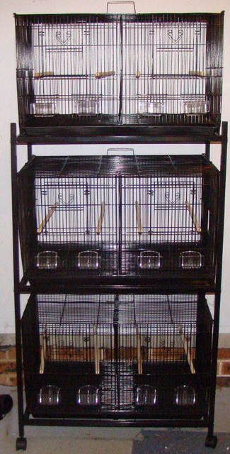 cages.jpg