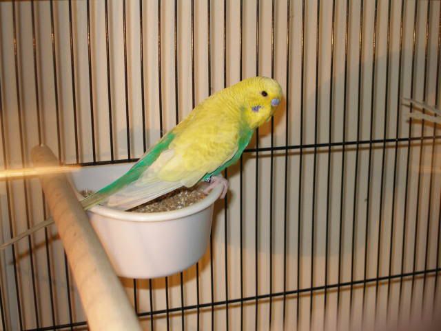 P1010001-1.jpg