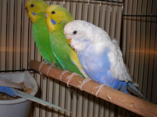 P1010002-1.jpg