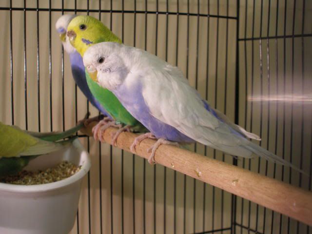 P1010005.jpg