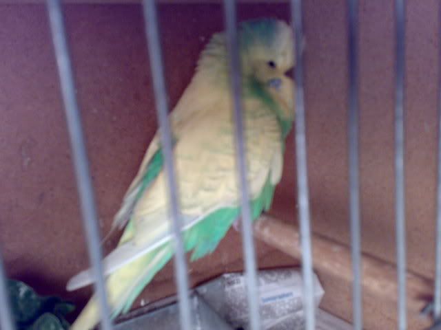 01112008152.jpg