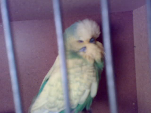 01112008153.jpg