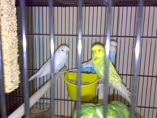 01112008154.jpg