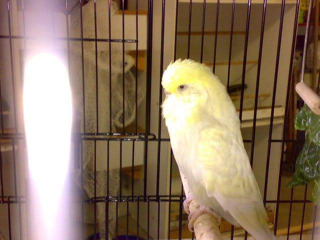 01112008159.jpg