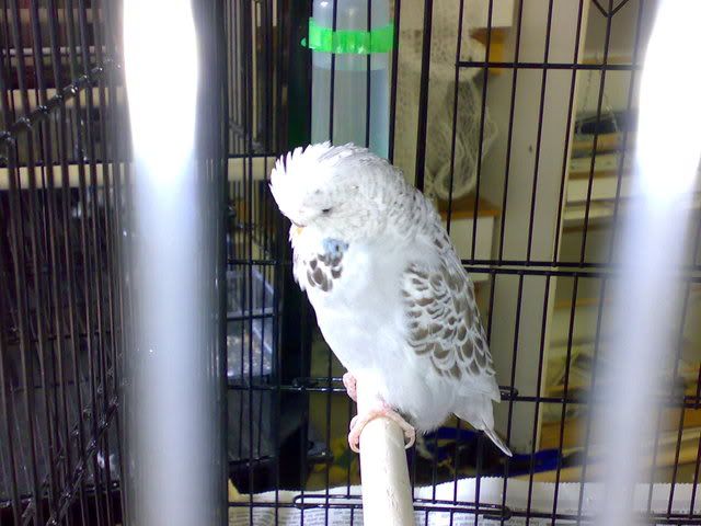 01112008160.jpg