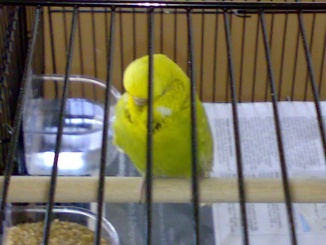 30102008145.jpg