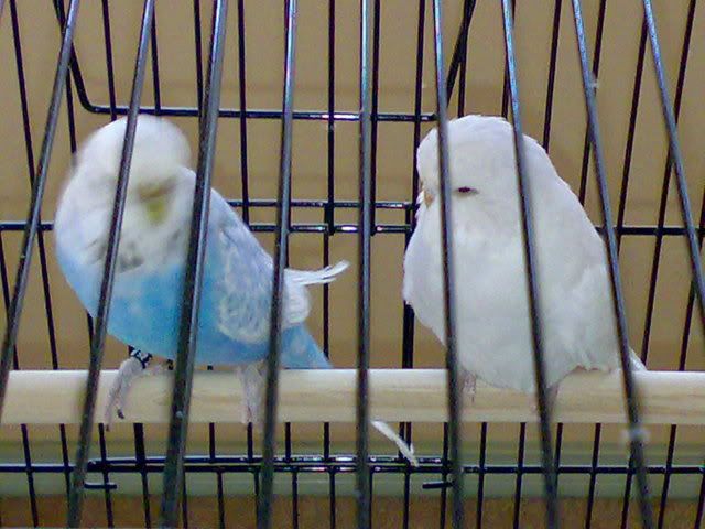 30102008146.jpg