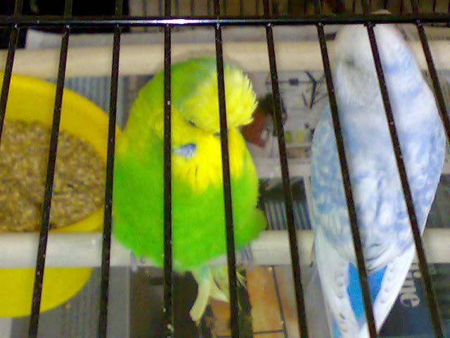 30102008147.jpg