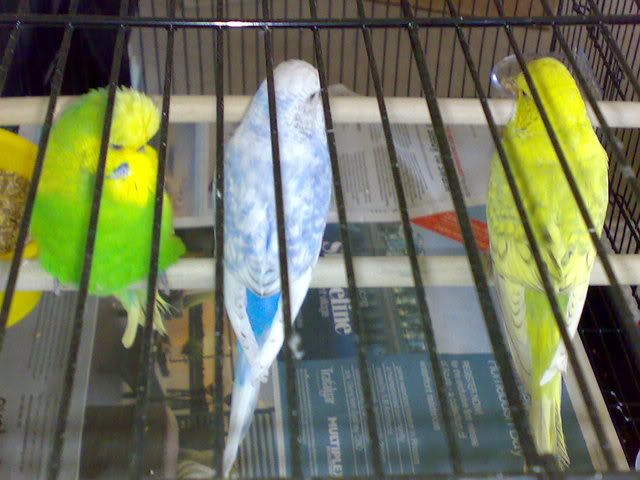 30102008148.jpg