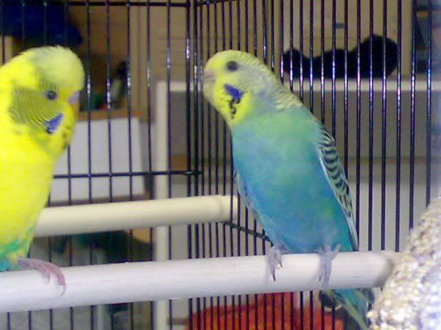 12072008036.jpg