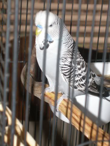 oscar1.jpg