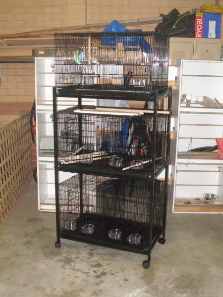 new_cages_assembled.jpg