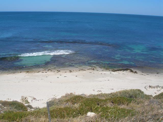 P1010003.jpg