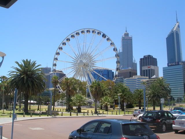 P1010024.jpg