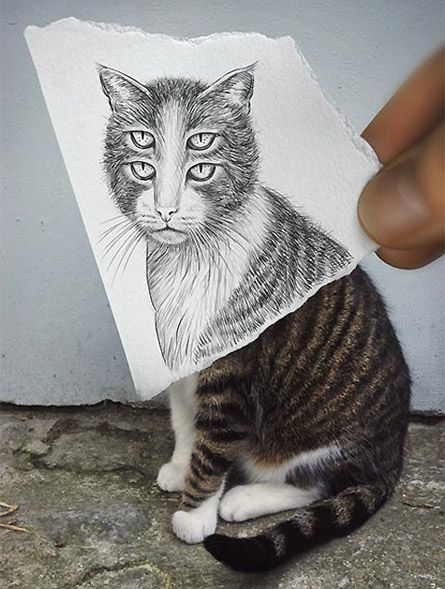 Ben Heine