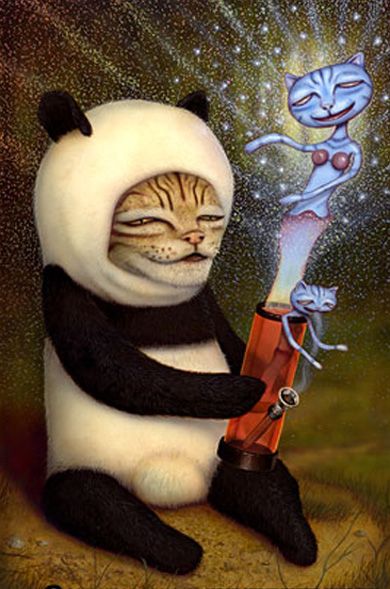 Naoto Hattori