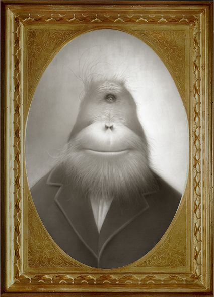 Travis Louie