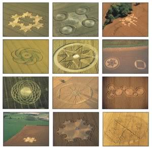 cropcircles.jpg crop circles image by williamelmore