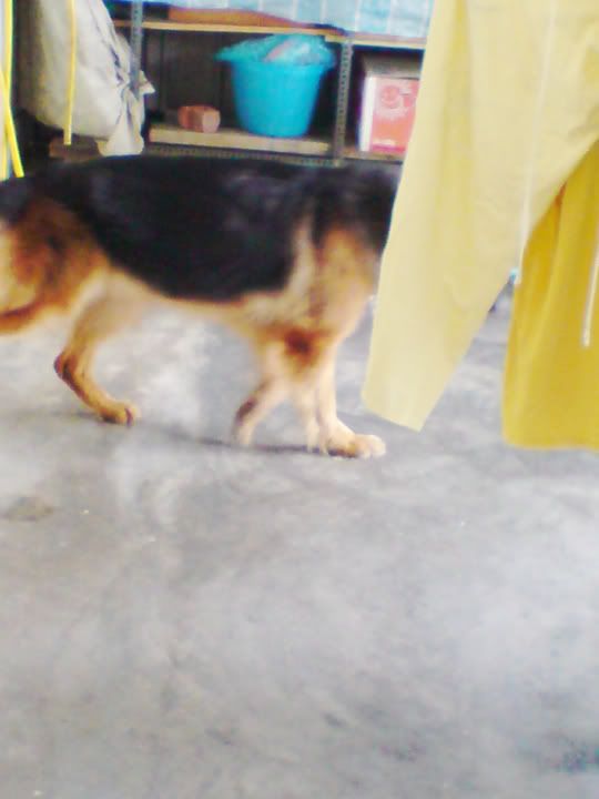 Photobucket - Video and Image Hosting