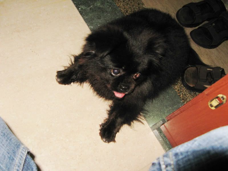 Photobucket - Video and Image Hosting