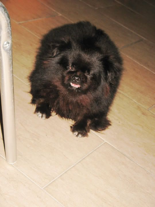 Photobucket - Video and Image Hosting