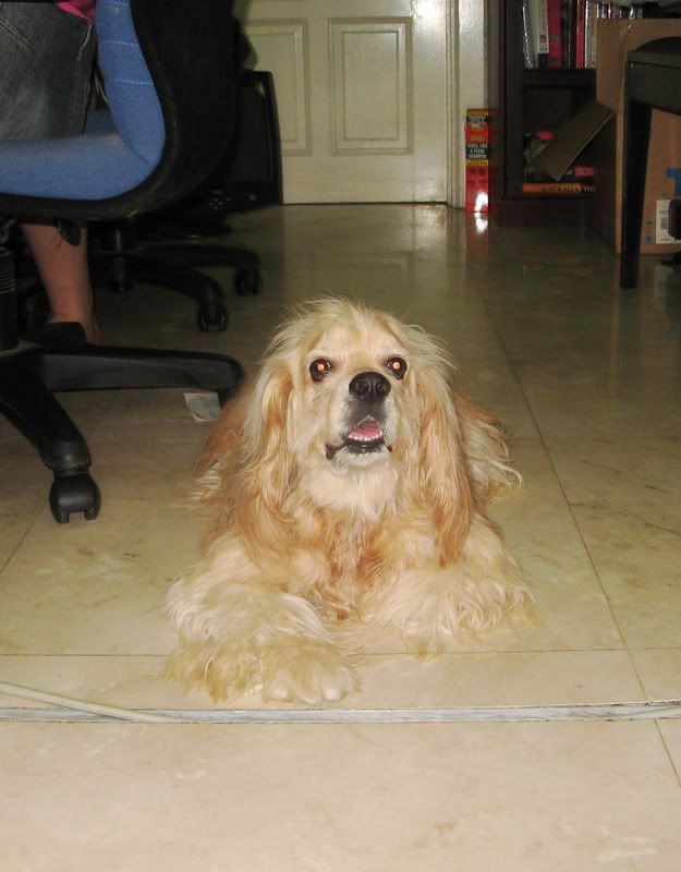 Photobucket - Video and Image Hosting