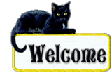 black cat-welcome