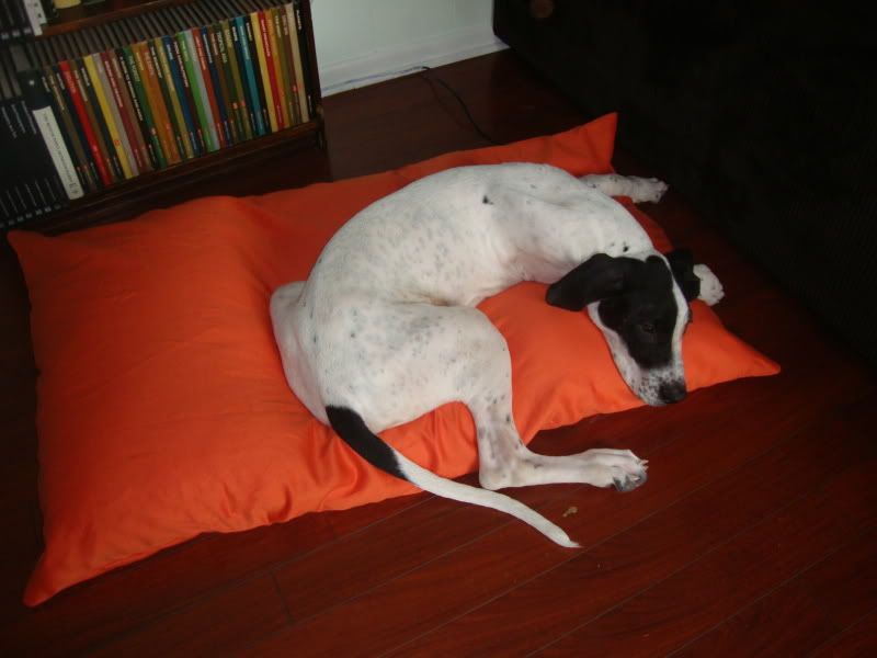 DIY Dog Bed from Pillows Sew Inspiring, Sew Me