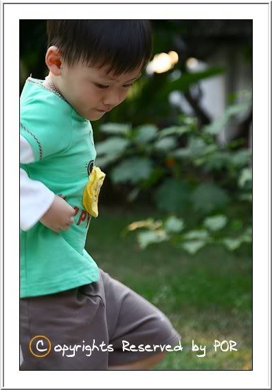 พ่อลูกอลเวง