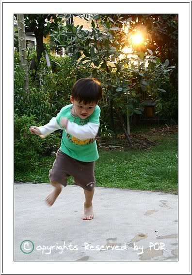 พ่อลูกอลเวง