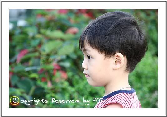 ฟันผุซะแล้ว
