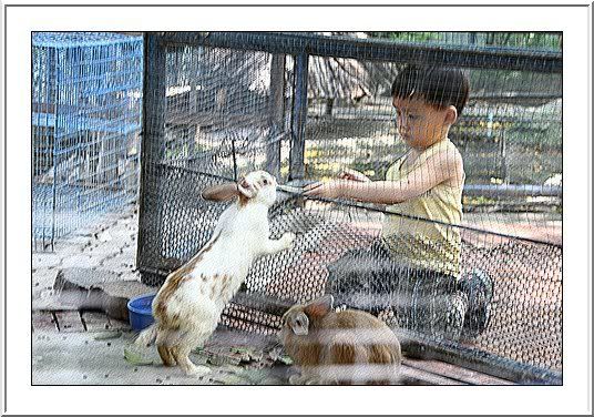 กระจกเงา