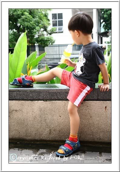 สมองกลับ