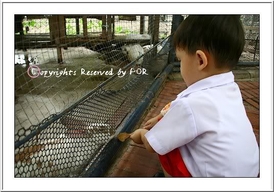 บอดี้การ์ดหน้าจืด