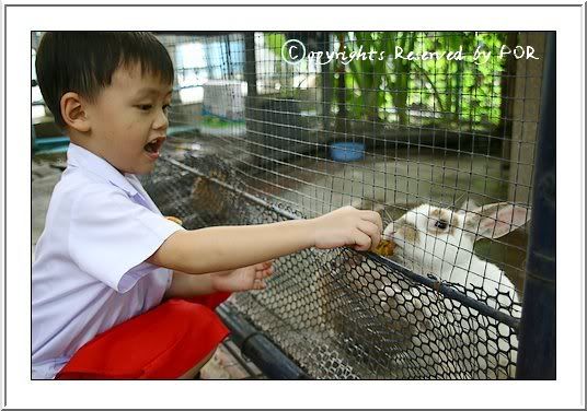 บอดี้การ์ดหน้าจืด