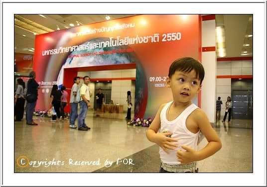 ไข่เป็ดจอมยุ่ง