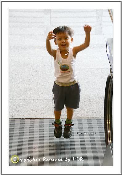 ไข่เป็ดจอมยุ่ง